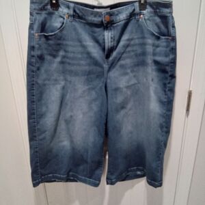 Lane Bryant Plus Size 22 Denim Blue Jean Burmuda Shorts
